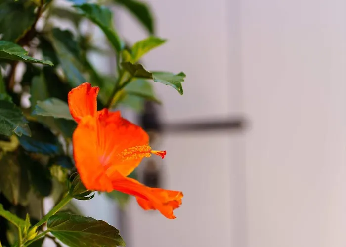 Santorini Aparthotel Kamári