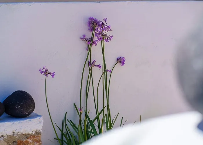 Aparthotel Santorini Kamári