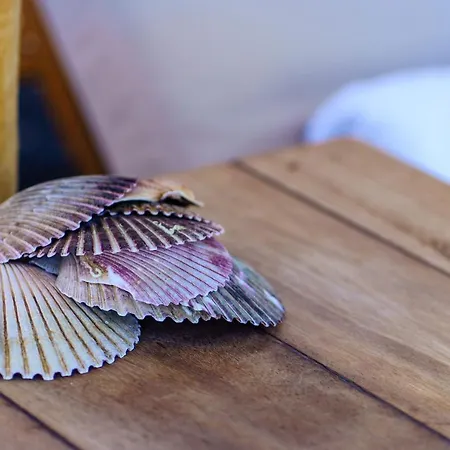 Santorini Aparthotel 4*